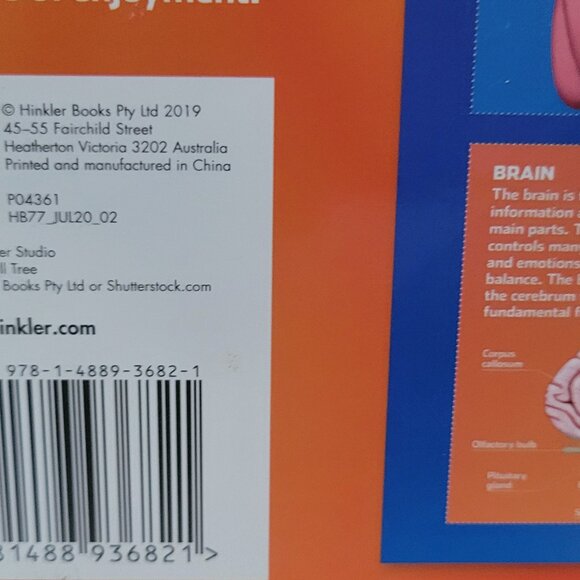 HINKLER Human Body 500pc Jigsaw Puzzle. NEW - Picture 3 of 5